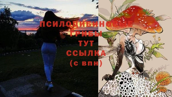 ALPHA-PVP Аркадак