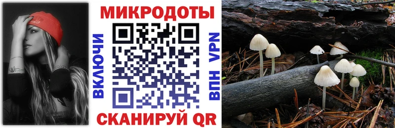 Псилоцибиновые грибы прущие грибы  мориарти как зайти  Сургут  купить наркоту 